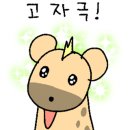 나니아 플스방 이미지