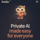 부엉이 PC | 누구나 쉽게 사용하는 나만의Private AI <Owllo아울로>🦉 설치 및 사용 후기