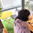 안양 인덕원 동편마을 미용실 감성헤어살롱손길 시화실장 염색 클리닉