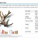 동아메디칼약국 이미지