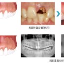 화이트사과나무치과 이미지