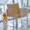 살롱 드 제니