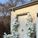 스튜디오 숲 | 대전 스튜디오 추천 | 새롭게 변한 더숲 스튜디오 촬영 동행 후기