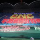 A-ONE KOREA 이미지