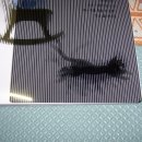 하늘동화 이미지