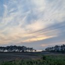 양재김경호한의원 이미지