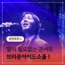 가로등제어 | 2025 브라운아이드소울 콘서트 혼자 보고온 후기