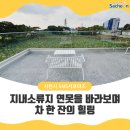 지내소류지 네이버블로그