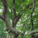 군서면사무소 이미지