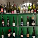 조근조근 민박 | 제주 서귀포맛집 “HFF 흐프프” | 감성 충만 책과 와인이 있는 혼술하기 좋은 와인바 🍷