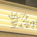 빨간모자달팽이 이미지