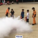 광숭초 이미지