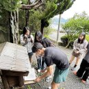 삼호고등학교 이미지