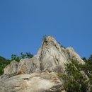 거창-주상-5 이미지