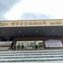 석정웰파크병원 | 전라도 온천 석정온천휴스파 게르마늄 온천수로 즐기는 스파와 벚꽃축제