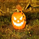 경호강 카라반 이미지