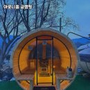 푸른현대주유소 | 잊지 못할 힐링 공간, 아로니움 글램핑에서 보낸 시간