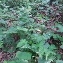 중열농장 이미지