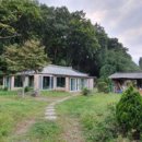 보니소네트 이미지