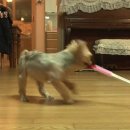 또또농장 이미지