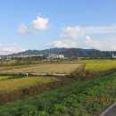 여주-0165 이미지