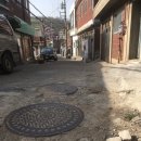 금화장 이미지