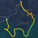 리라아트고등학교 | 오랜만에 들른 명동, 하동관에서 점심 먹고 명동성당 르빵 밤식빵 구입 후기 (남산 단풍 구경 산책도 추가)