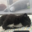 상남동181 이미지