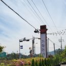드들농장 네이버블로그