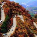 예체문화관 수달수영장 이미지