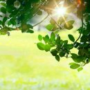 제일부동산중개 이미지