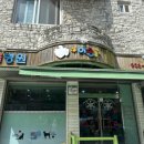 이솝동물병원 | 일산 동물병원 추천 마두 이솝 동물병원에서 고양이 스케일링과 발치 하고 왔어요