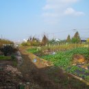 홍연농장 이미지