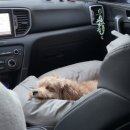 군산삼성안과의원 | 대전스마일라식후기 스마일라식추천 삼성스마일안과