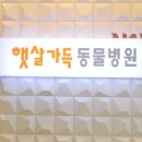 햇살가득동물병원 이미지