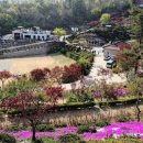 동산잔디 이미지