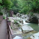 덕산통B Daum카페