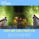 소나무병원 | 야경이 예쁜 곳에서 가벼운 산책, 둔산선사유적지