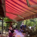 제천덕산초등학교 이미지