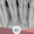 신우플러스원 이미지