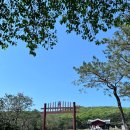 신도연못 옆 이미지