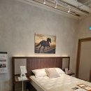 신영숙 컬렉션 | 마테라소 기흥점 용인 신혼침대추천 제대로 받고 온 프리미엄 매트리스 체험 후기