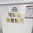 울산동물병원