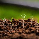 ㈜심청유기질비료 | 고품질 조비 유기질비료 4종으로 토양을 비옥하게!