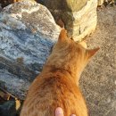 분평동물병원 이미지