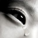 조*용 Daum카페