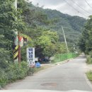 백년펜션 야영장 이미지