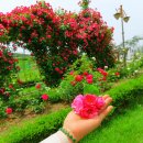 청암공원 이미지