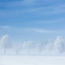 바람아래 이미지