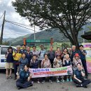 청춘다방 이미지